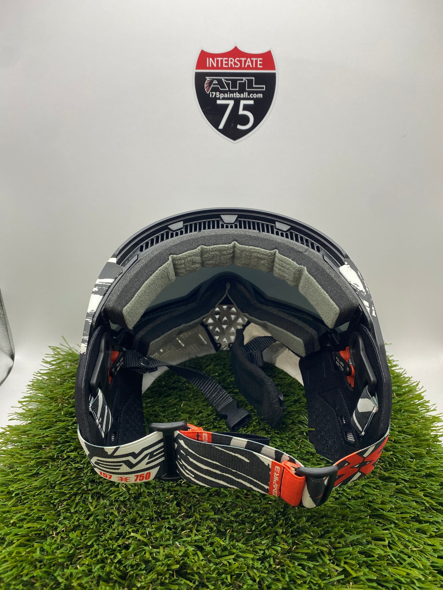 Zebra EVS